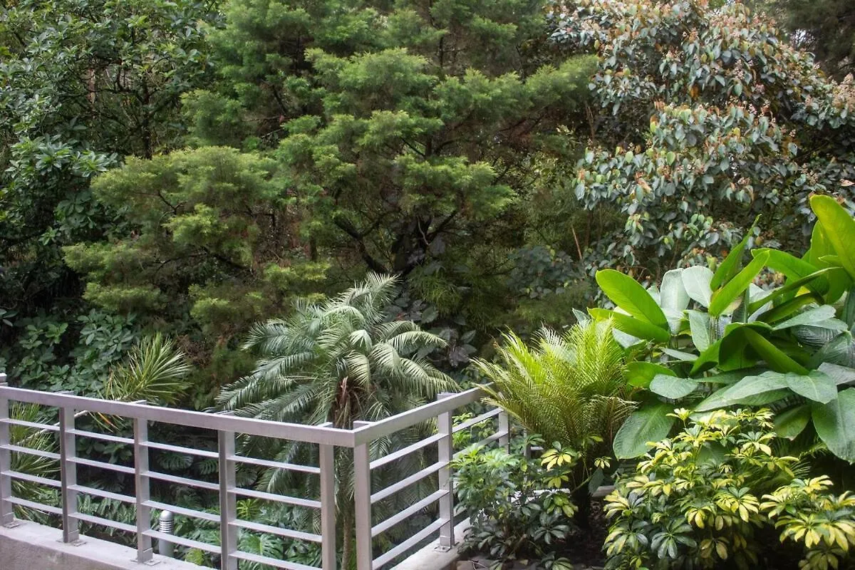 Apartment Near Provence Pool, Gym, Views And Wifi Medellin