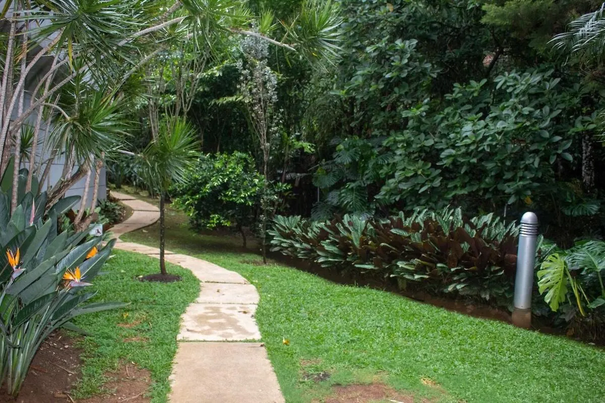 Apartment Near Provence Pool, Gym, Views And Wifi Medellín Kolombiya